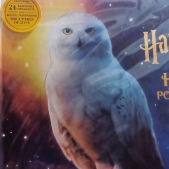 Harry Potter: Hedwig Pop-up Advent Calendar 2022/Any Year - Picture 2 of 4